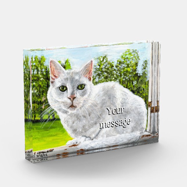 BLOC PHOTO ASMARSH (Gauche)