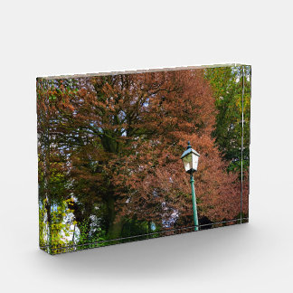 Bloc Photo Automne
