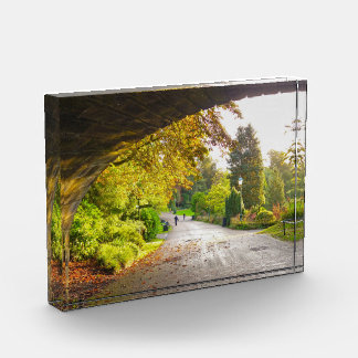 Bloc Photo Automne