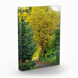 Bloc Photo Automne