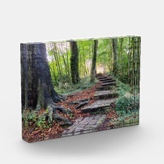 Bloc Photo Automne