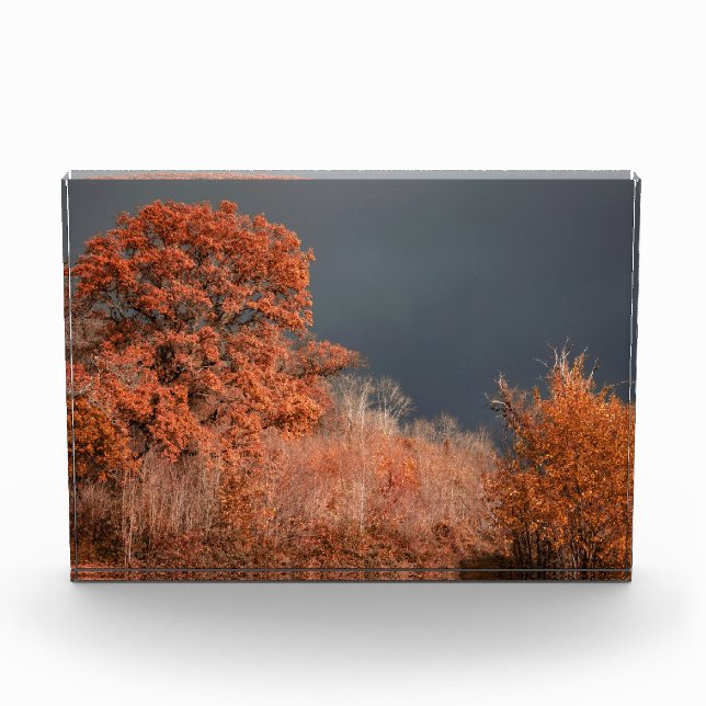 Bloc Photo Automne orageux (Devant)