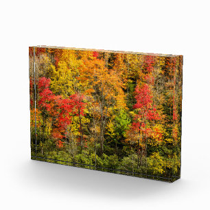 Bloc Photo Autumn at Sims Pond North Carolina, Blue Ridge