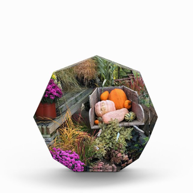 Bloc Photo Autumn Decor (Devant)