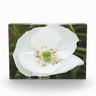 Bloc photo avec fleurs