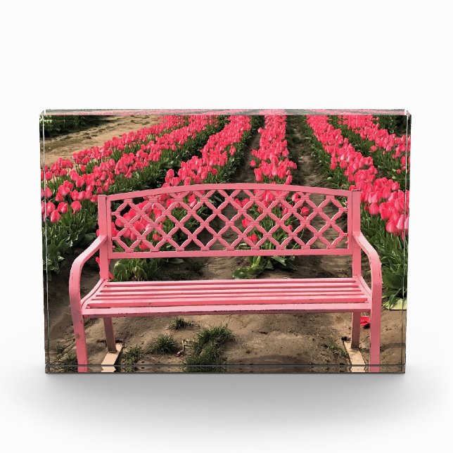 Bloc Photo Banc rose avec tulipes roses (Devant)