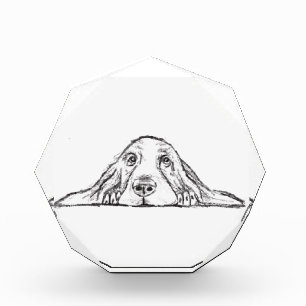 Bloc Photo basset hound noir blanc yeux de chiot simple
