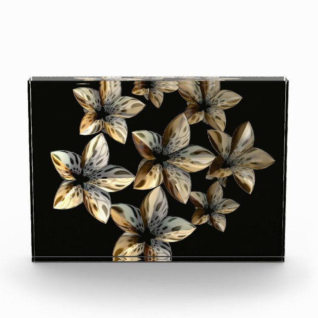 Bloc Photo Beauté contre nature (Devant)