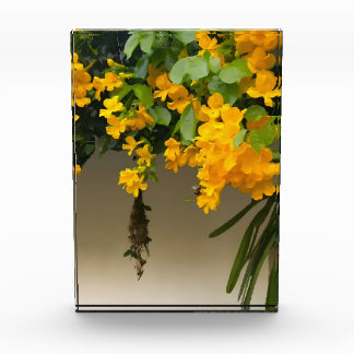 Bloc Photo Beauté Fleur Dorée