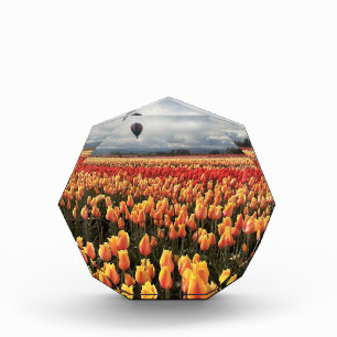 Bloc Photo Beautiful Tulip Field avec Hot Air Balloon, Oregon