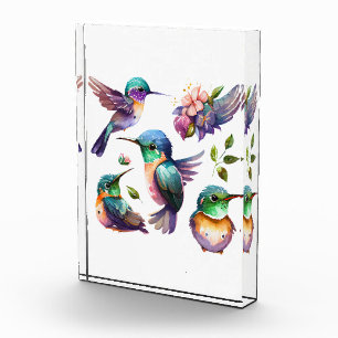 Bloc Photo Beaux et mignons colibris pour les amateurs d'oise
