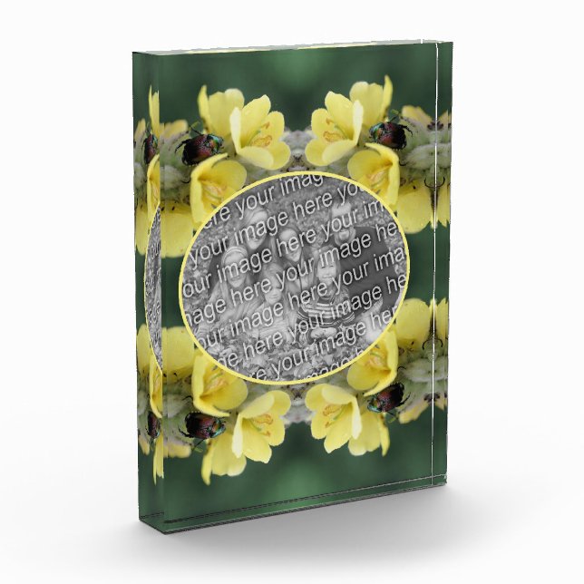 Bloc Photo Beetle sur Fleur Mullein Sauvage Ajoutez votre (Gauche)