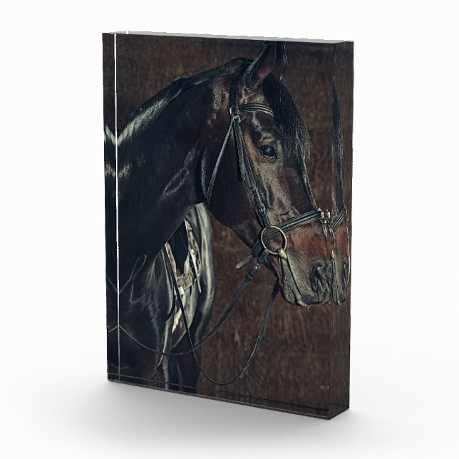 Bloc photo Black Horse (Droite)
