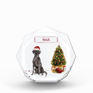 Bloc Photo Black Lab Funny Chien de Noël et arbre