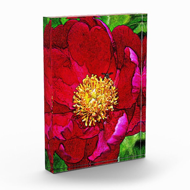 Bloc Photo Blocs acryliques de pivoine rose (Gauche)