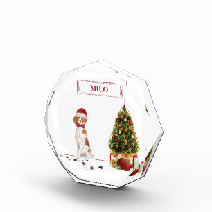 Bloc Photo Bretagne Funny Christmas Chien et Arbre