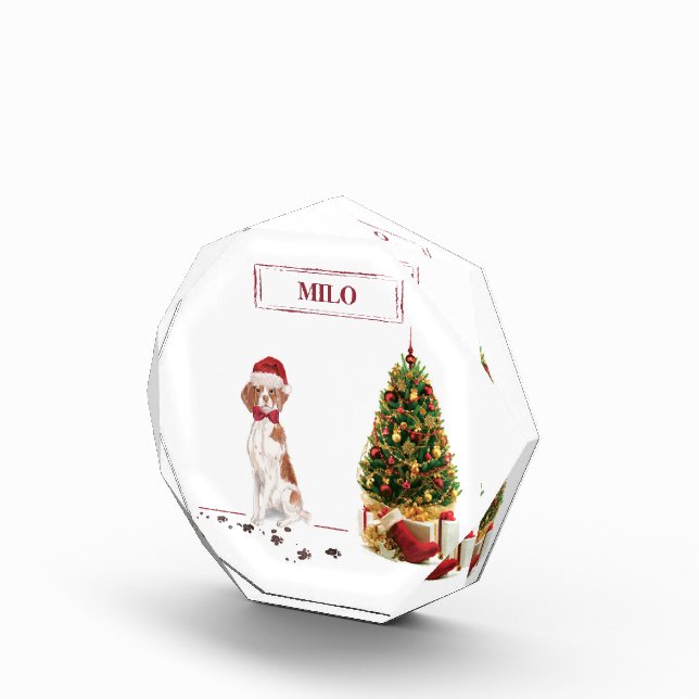 Bloc Photo Bretagne Funny Christmas Chien et Arbre (Droite)