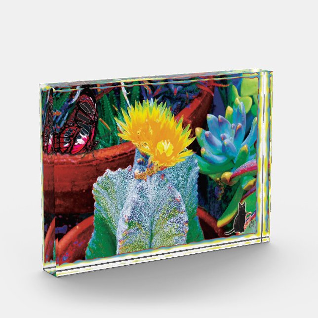 Bloc Photo Cactus Caliente (Gauche)