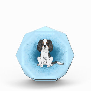 Bloc Photo Cavalier King Charles Spaniel tricolore sur fond b