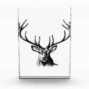 Bloc Photo Cerfs Animaux Antlers Nature Faune Hornes Pots
