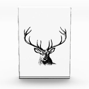 Bloc Photo Cerfs Animaux Antlers Nature Faune Hornes Pots