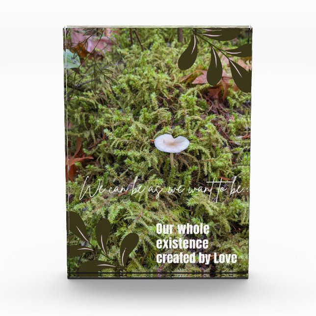 Bloc Photo Champignon Belknap avec citation (Devant)