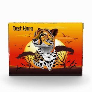 Bloc Photo Cheetah African Feline Wild Animal