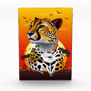 Bloc Photo Cheetah African Feline Wild Animal