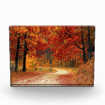 Chemin d'automne à travers les arbres