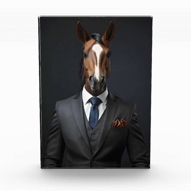 Bloc Photo Cheval drôle dans le costume (Devant)