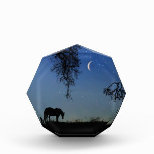 Bloc Photo Cheval et Lune Art