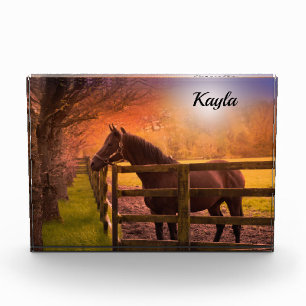 Bloc Photo Cheval fille