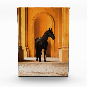 Bloc Photo Cheval noir élégant dans une arche dorée