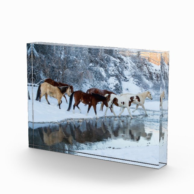 Bloc Photo Chevaux traversant le ruisseau (Droite)