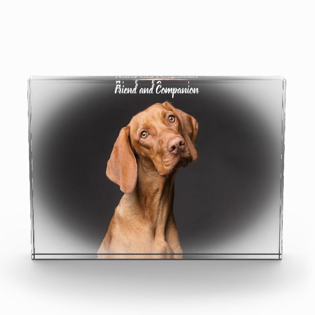 Bloc Photo Chien Beagle (Devant)