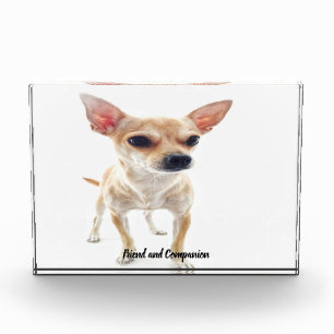 Bloc Photo Chien Chihuahua.