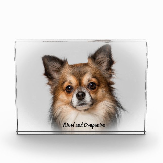 Bloc Photo Chien Chihuahua. (Devant)