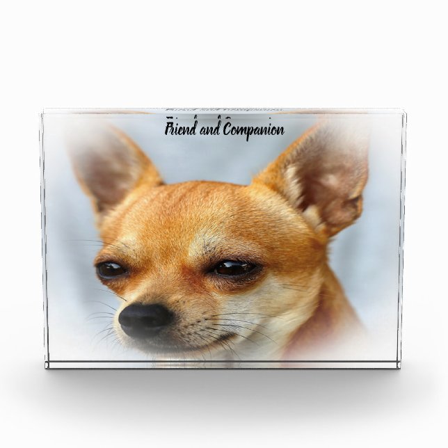 Bloc Photo Chien Chihuahua. (Devant)
