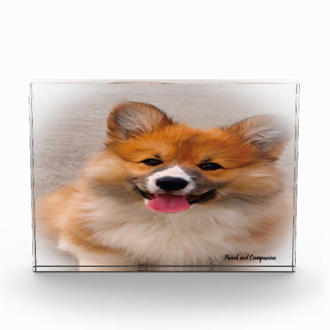 Bloc Photo Chien Corgi Gallois. (Devant)