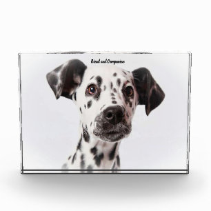 Bloc Photo Chien Dalmate.