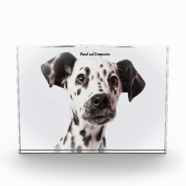 Bloc Photo Chien Dalmate. (Devant)