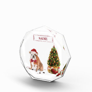 Bloc Photo Chien de Noël drôle avec arbre
