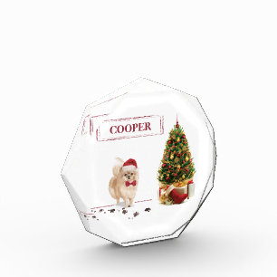 Bloc Photo Chien de Noël poméranien drôle avec arbre