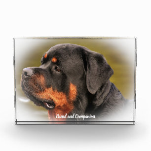 Bloc Photo Chien Rottweiler