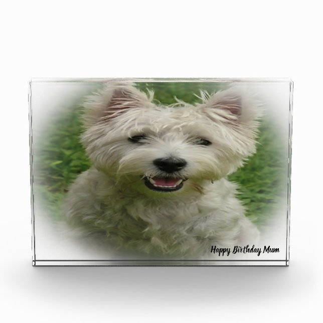 Bloc Photo Chien Terrier Westie. (Devant)
