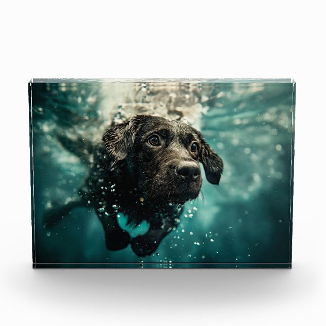 Bloc Photo Chiot labrador nageant sous l'eau Design (Devant)