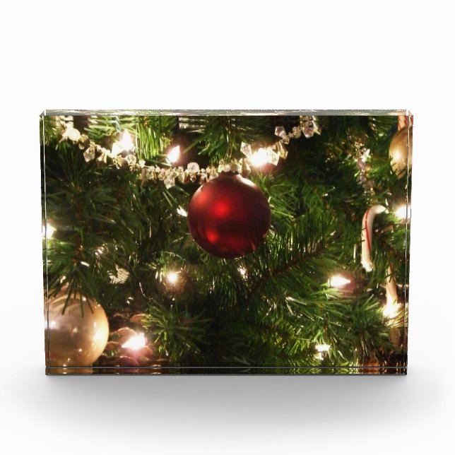 Bloc Photo Christmas Tree I Holiday Pretty Green and Red (Devant)