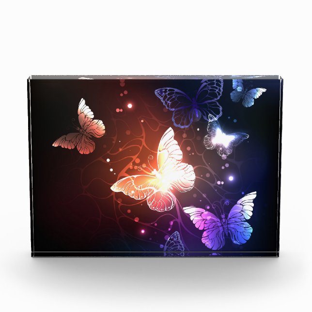 Bloc Photo Clowing Night Butterflies (Devant)