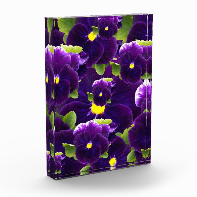 Bloc Photo Clusters de Pansy Profond Violet : Beauté majestue (Gauche)
