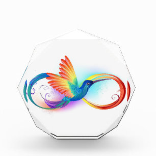 Bloc Photo Colibri arc-en-ciel avec symbole Infinity